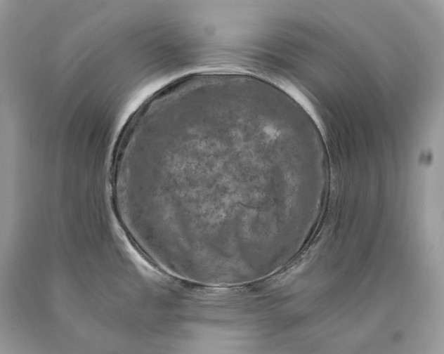 X0000089921485200707201807
