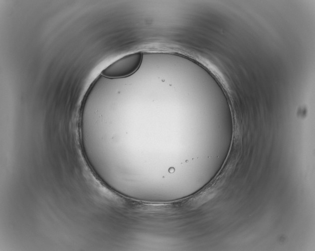 X0000089921486200707201807