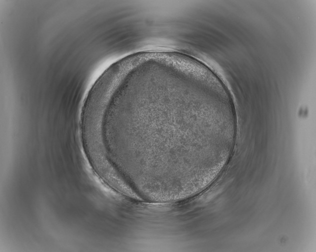 X0000089921488200707201807