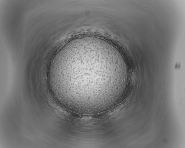 X0000089921489200707201806
