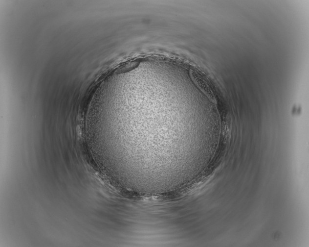 X0000089921490200707201806