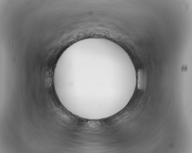 X0000089921491200707201806