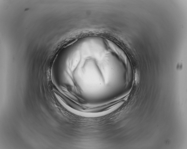 X0000089921492200707201806