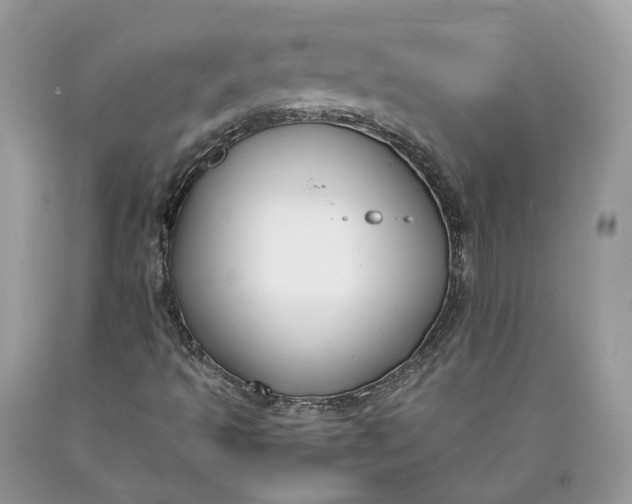 X0000089921493200707201806