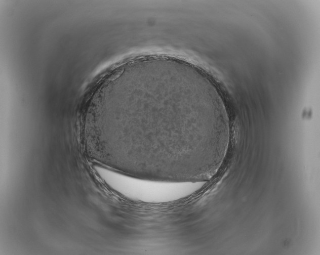 X0000089921494200707201806