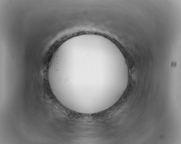 X0000089921495200707201806