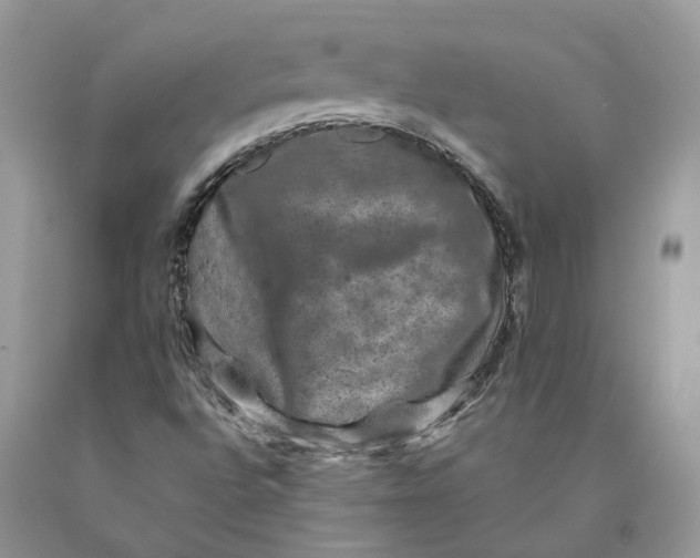 X0000089921496200707201806
