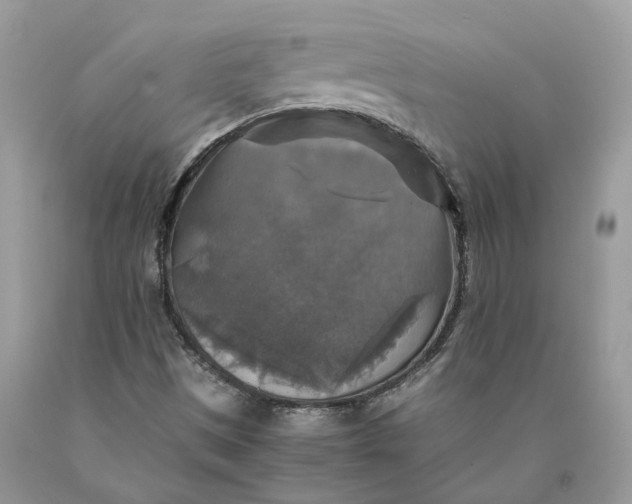 X0000089921497200707201806