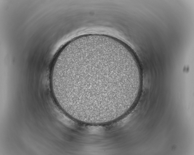 X0000089921498200707201806