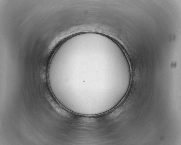 X0000089921499200707201806