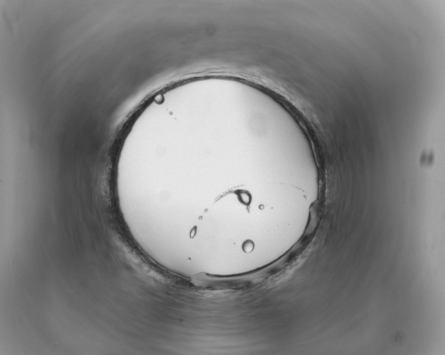 X0000089921502200707201806