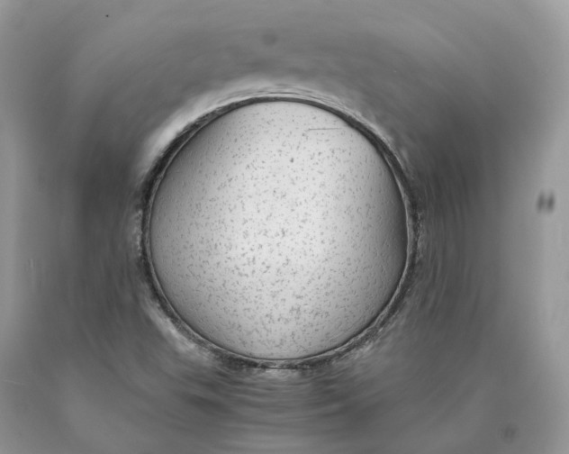 X0000089921503200707201806