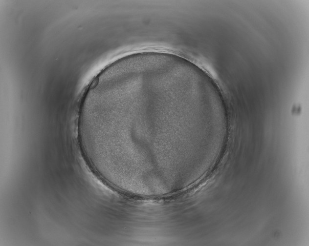 X0000089921504200707201806