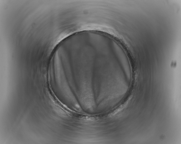 X0000089921505200707201806