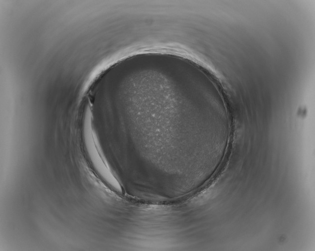 X0000089921506200707201806