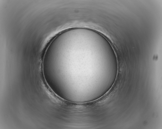 X0000089921507200707201806