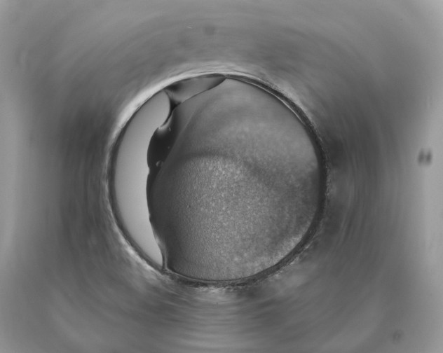 X0000089921508200707201806