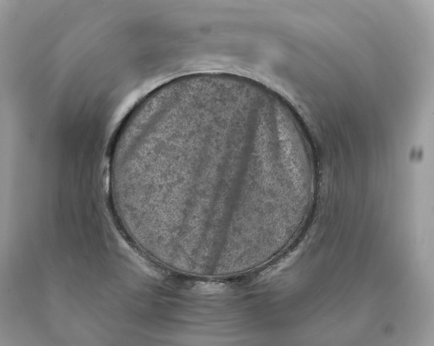 X0000089921509200707201806