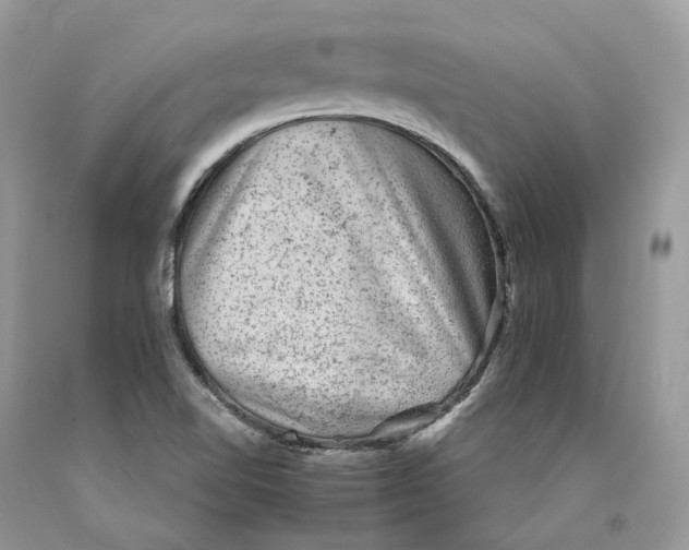 X0000089921510200707201806