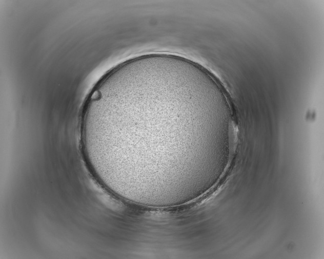 X0000089921511200707201806