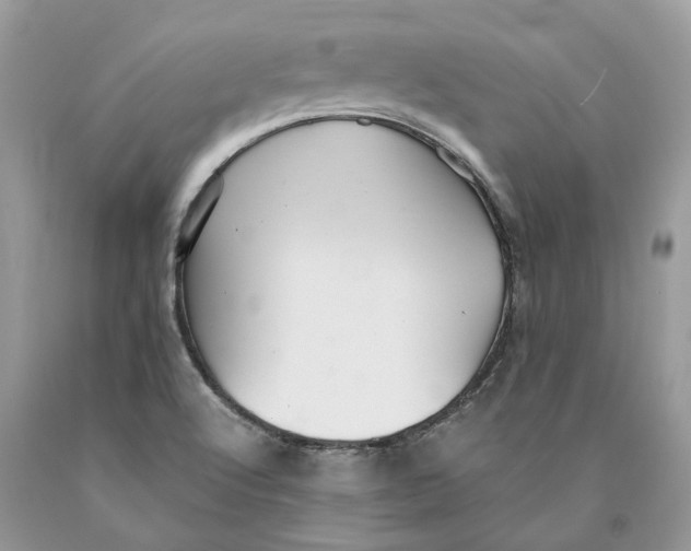 X0000089921512200707201806