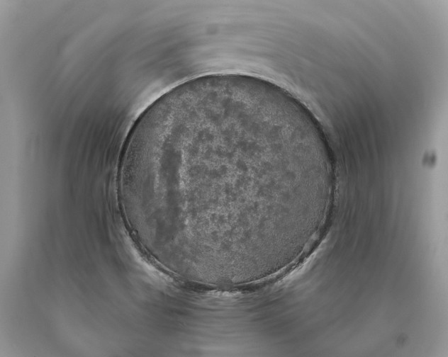 X0000089921513200707201806
