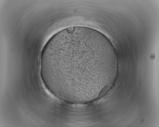 X0000089921515200707201806