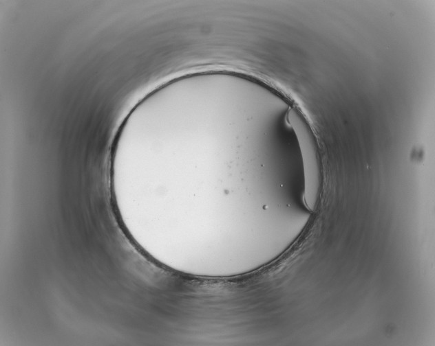 X0000089921516200707201806