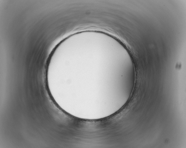 X0000089921518200707201806