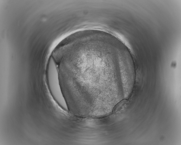 X0000089921520200707201807