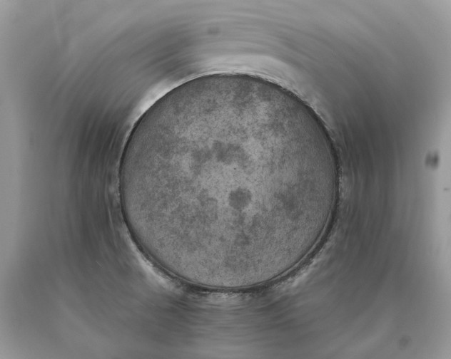X0000089921521200707201807
