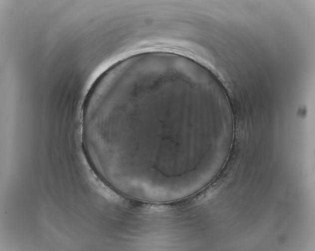 X0000089921522200707201807