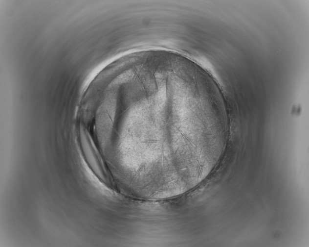 X0000089921524200707201807