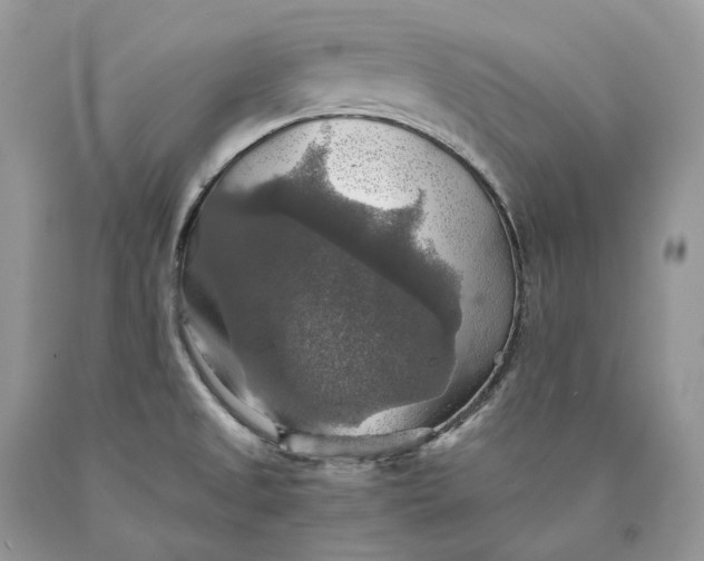 X0000089921525200707201807