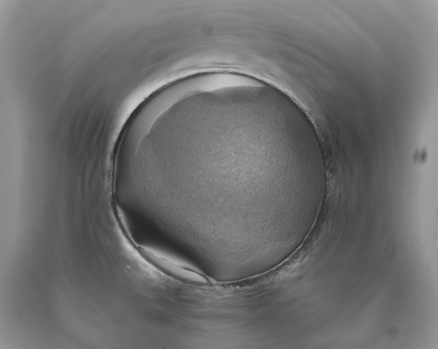 X0000089921527200707201807