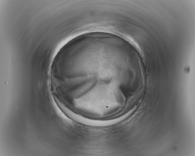 X0000089921528200707201807