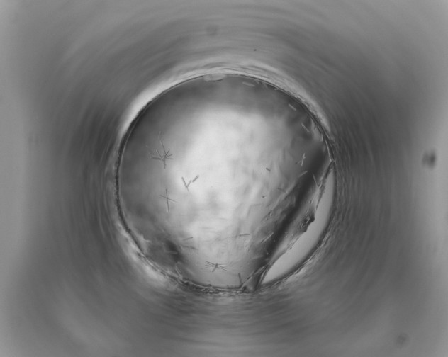 X0000089921530200707201807