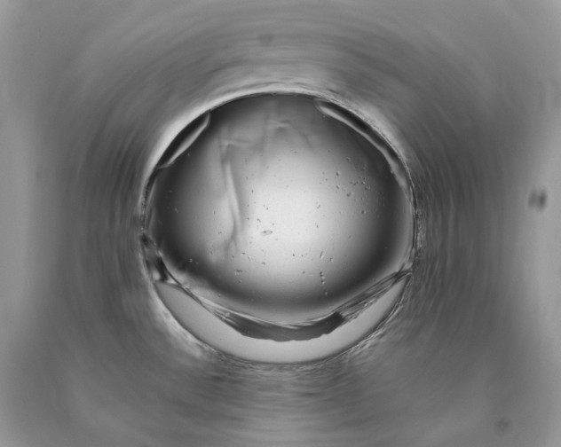 X0000089921532200707201807