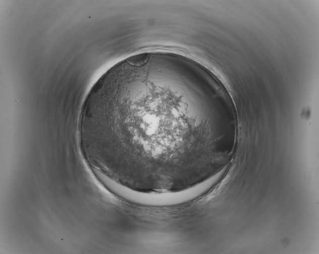 X0000089921533200707201807