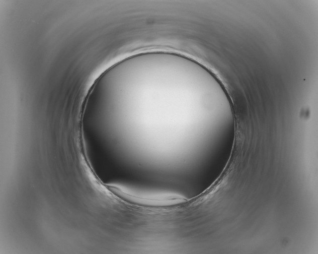 X0000089921534200707201807