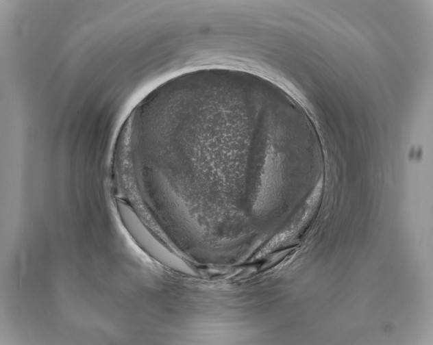 X0000089921536200707201807