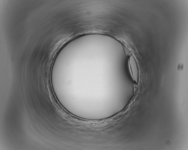 X0000089920001200707271746