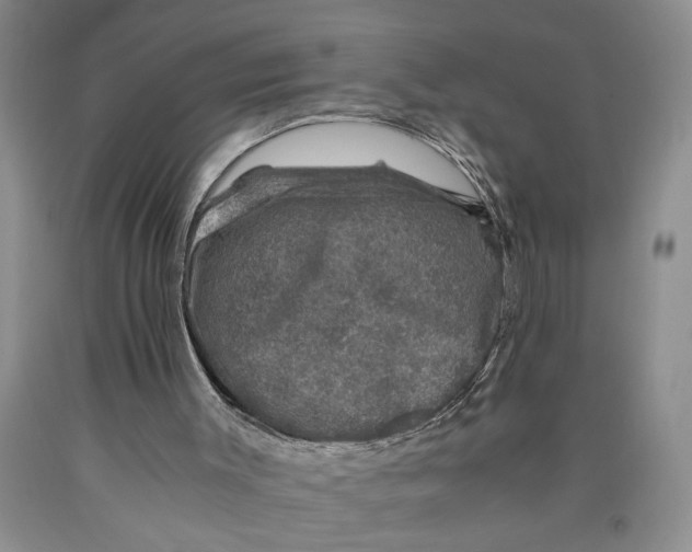 X0000089920003200707271746