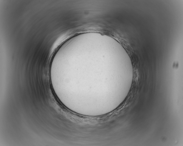 X0000089920004200707271746