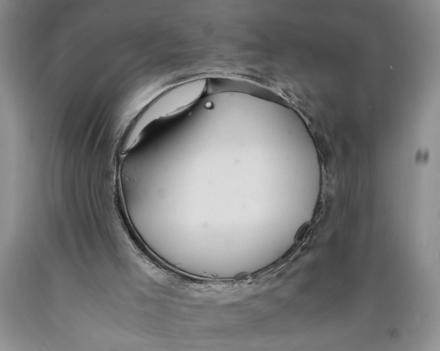 X0000089920005200707271746