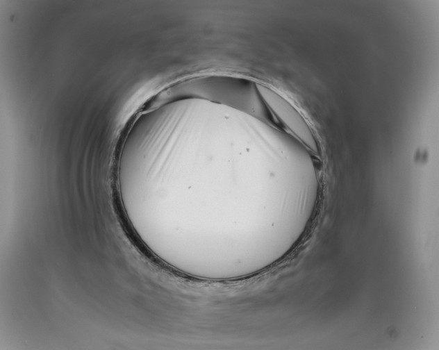 X0000089920007200707271746