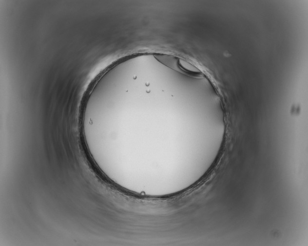 X0000089920008200707271746