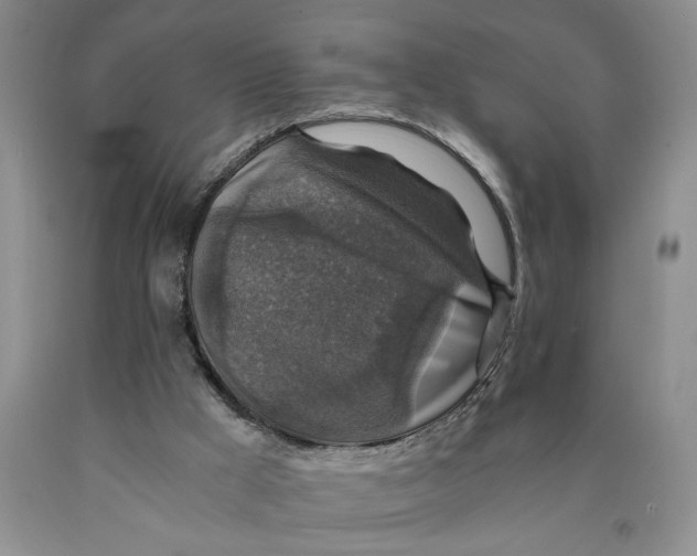 X0000089920009200707271746