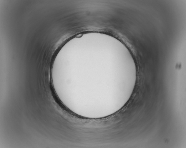 X0000089920011200707271746