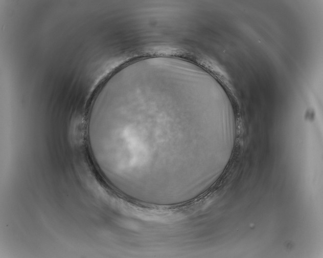 X0000089920012200707271746